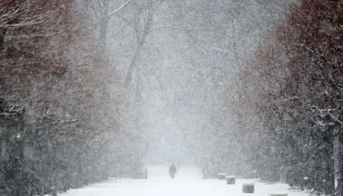 Framed Print : A person walks during snowfall in the grounds of the Charlottenburg Palace in Berlin Framed Print : A person walks during snowfall in the grounds of the Charlottenburg Palace in Berlin