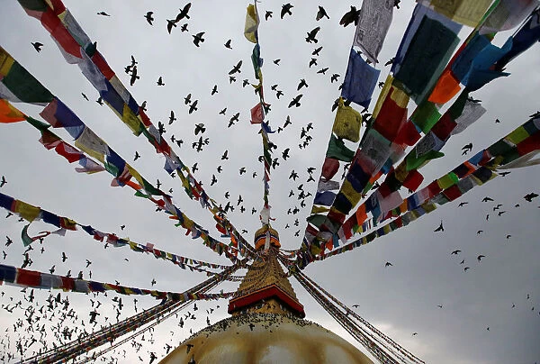 Pigeons take flight at Boudhanath Stupa during Vesak Day in Kathmandu