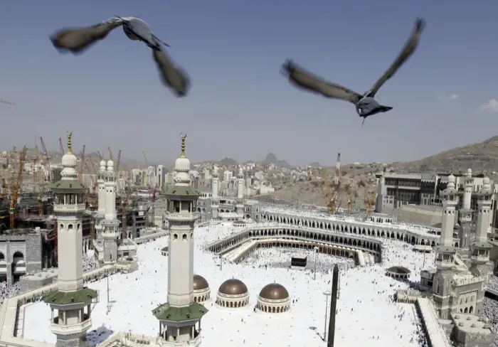 Framed Print : Pigeons fly over the Grand Mosque at Friday prayers during the annual haj pilgrimage in Framed Print : Pigeons fly over the Grand Mosque at Friday prayers during the annual haj pilgrimage in