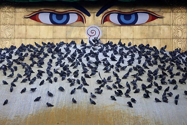 Pigeons rest at the dome of Boudhanath Stupa during Vesak Day in Kathmandu