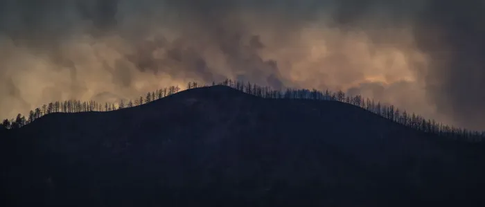 Framed Print : Plumes of smoke from the Waldo Canyon Fire rises above trees in Colorado Springs