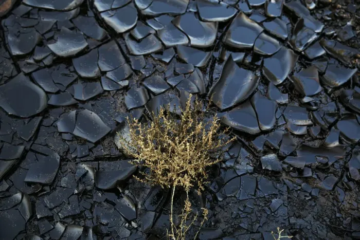 Framed Print : A polluted area caused by an oil spill is seen at the Evrona desert reserve Framed Print : A polluted area caused by an oil spill is seen at the Evrona desert reserve