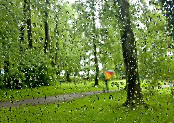 Raindrops are pictured on a car windscreen as person walks in a park on a rainy day