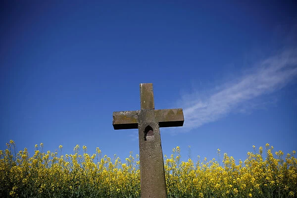 A rapeseed field is partially seen behind a cross in Schnersheim