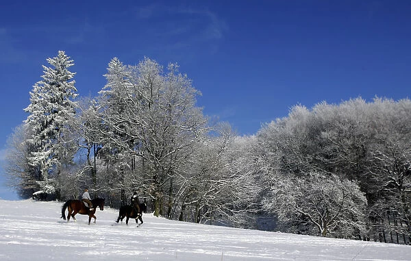 Riders on their horses cross a snow covered meadow near the Odenwald village of Knoden