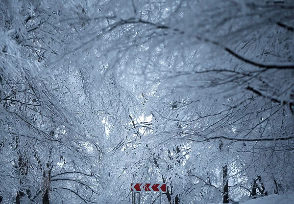 A road sign is seen under snow covered trees outside Tbilisi