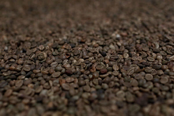 Roasted coffee beans are seen at the coffee company of Simexco Dak Lak Limited in the