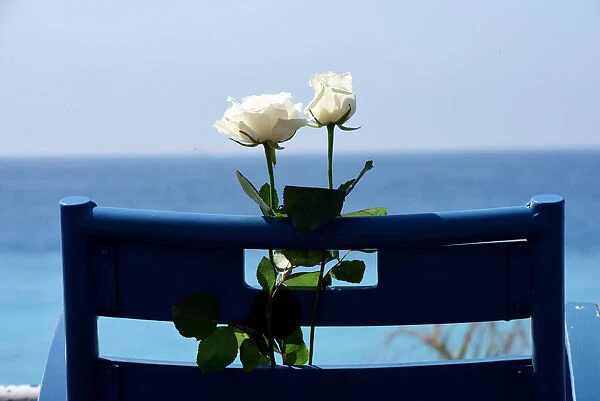 Roses on the Promenade des Anglais as part of the commemorations of the July 14 fatal