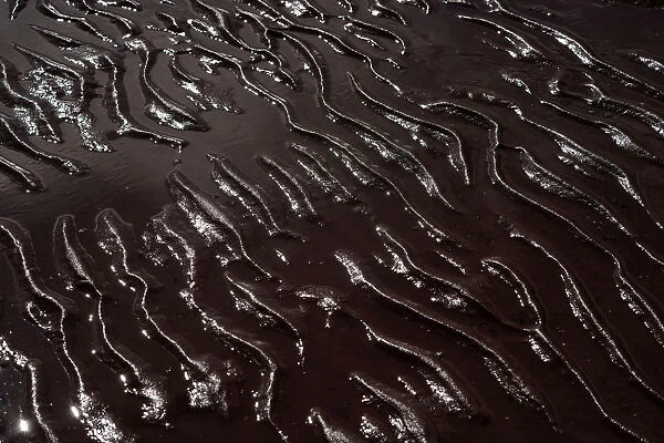 Sand catches ripples of light along a beach in Souris, Prince Edward Island