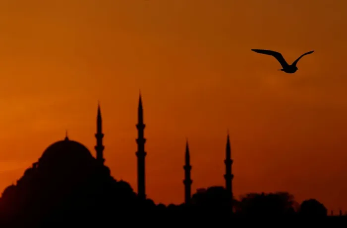 Framed Print : A seagull flies over the Bosphorus as the sun sets over the Suleymaniye mosque in Framed Print : A seagull flies over the Bosphorus as the sun sets over the Suleymaniye mosque in