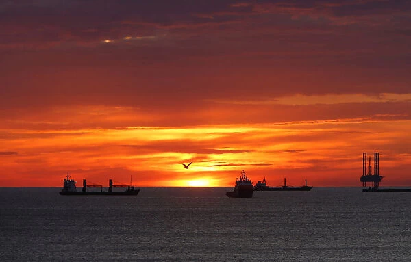 A seagull flies by as cargo ships and an offshore supply vessel lie at anchor at sunrise
