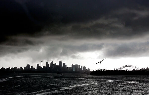 A seagull flies in front of the Sydney city skyline as a storm approaches in Sydney