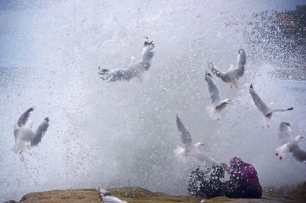 Seagulls and rock-fishing couple, Arie and Zakiyyah Widodo are sprayed by a large wave