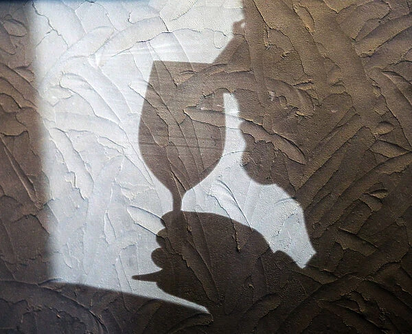 The shadow of a guest is seen during wine tasting at the Chateau Malartic Lagraviere