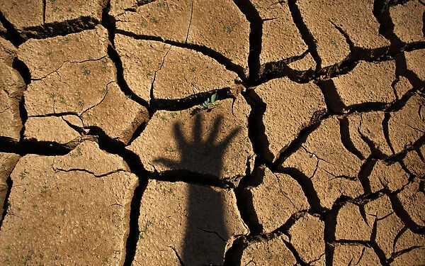 The shadow of a hand is seen on the cracked ground of Jaguary dam during a long drought