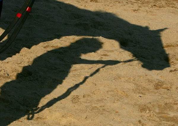 A shadow of horse and stable assistant is cast on the ground inside Tuen Mun Public