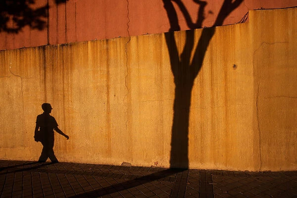 Shadows of a man and a tree are casted on a wall in Madrid