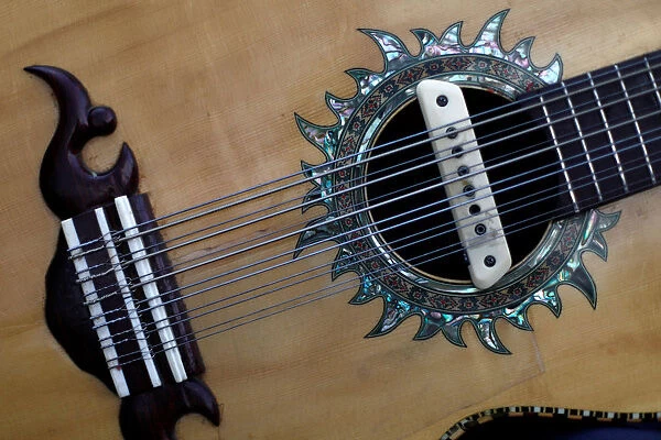 A Sixth bass (or Bajo sexto in spanish), a Mexican instrument with 12 strings in 6 double