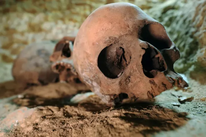 Framed Print : Skulls are seen inside the recently discovered burial site in Minya Framed Print : Skulls are seen inside the recently discovered burial site in Minya