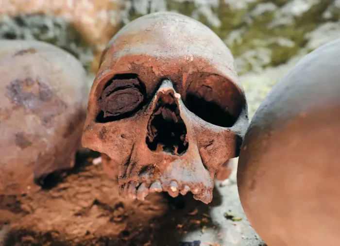 Framed Print : Skulls are seen inside the recently discovered burial site in Minya Framed Print : Skulls are seen inside the recently discovered burial site in Minya