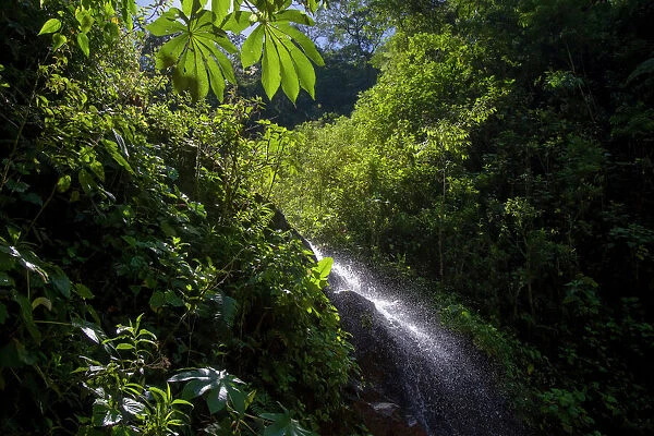 A small cascade is seen at the Manu Biosphere Reserve Cloud Forest in Perus southern