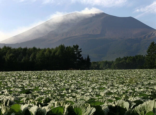 Smoke rises from Mount Asama volcano in Japan