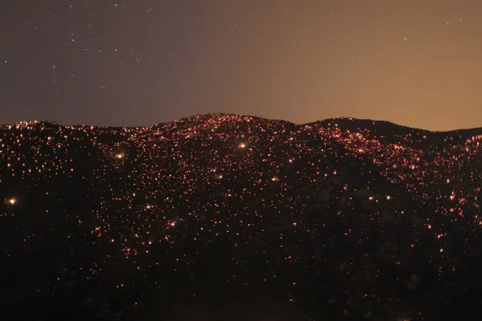 Framed Print : A smouldering mountainside is seen under the stars at the Silver Fire near Banning Framed Print : A smouldering mountainside is seen under the stars at the Silver Fire near Banning