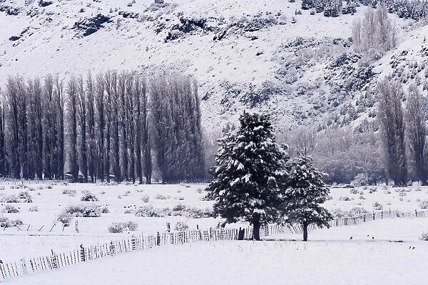 Snow-covered fields are seen in Argentinas Patagonian resort town of San Martin de