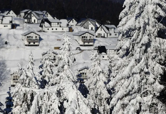 Framed Print : Snow covered trees are pictured at the skiing area of the western city Winterberg Framed Print : Snow covered trees are pictured at the skiing area of the western city Winterberg