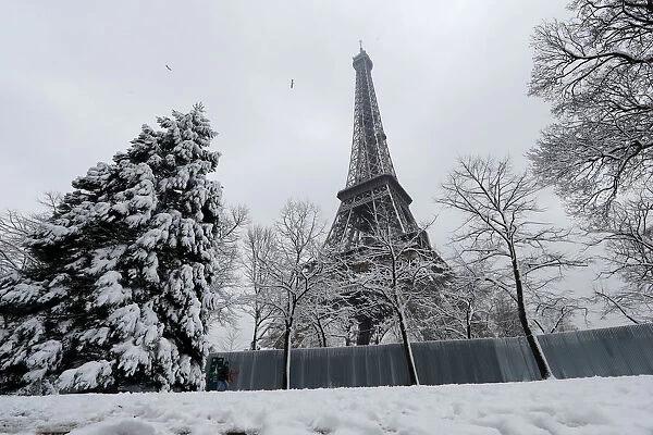 Snow-covered trees are seen near the Eiffel Tower in Paris