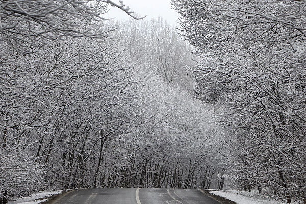 Snow covered trees are seen near the village of Etyek