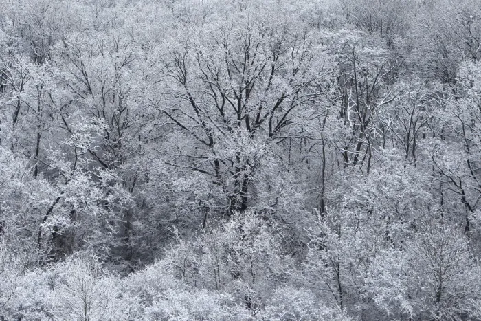 Framed Print : Snow covered trees are seen near the village of Etyek