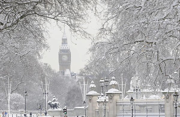 Snow covers tree branches in front of the Houses of Parliament in central London