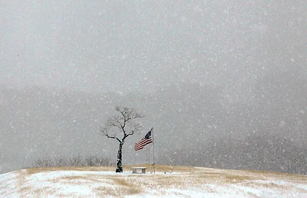 Snow fall around a U. S. flag and a tree alongside a highway in Fort Worth