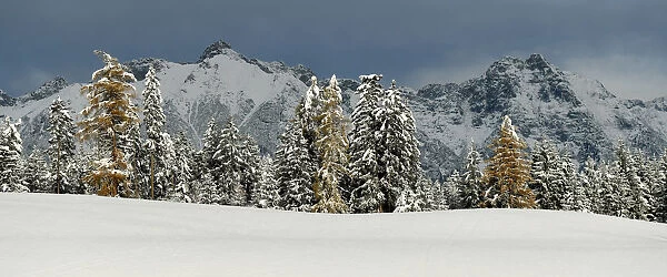 Snowfall in Tirol