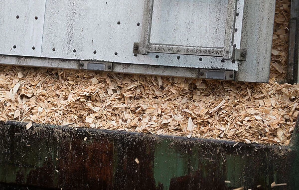 Softwood chips, a residual of the sawmills softwood lumber is deposited for making
