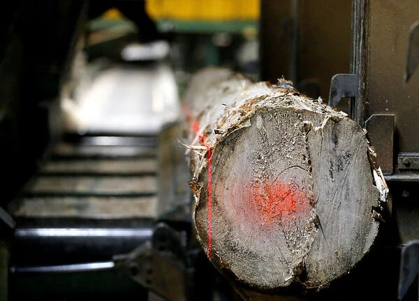 Softwood logs are cut into lumber at Groupe Crete, a sawmill in Chertsey, Quebec