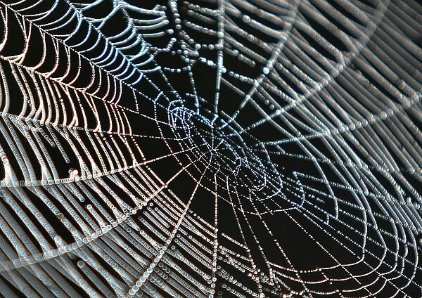 A spider-web in the Kosovo village of Acareva