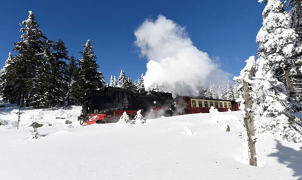 A steam train of the Harzer Schmalspurbahn makes its way from the Brocken mountain
