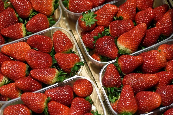 Strawberries are offered at the wholesale fruits and vegetables market in Hamburg