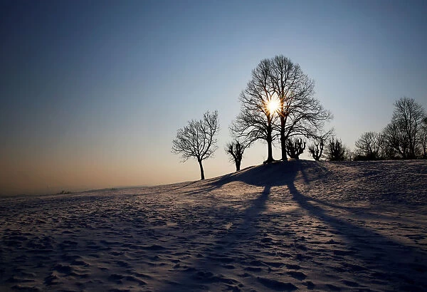 The sun is seen behind trees on a winter day on the hills around Vienna