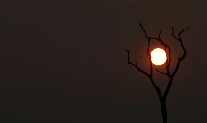 Framed Print : The sun sets behind a burned tree amid smoke as a tract of Amazon jungle burns as it is Framed Print : The sun sets behind a burned tree amid smoke as a tract of Amazon jungle burns as it is