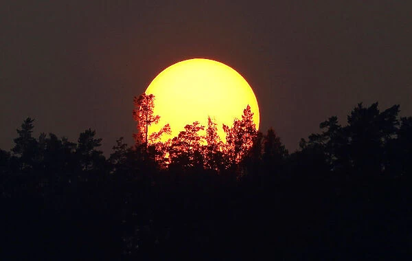 The sun sets over the Siberian Taiga area outside Krasnoyarsk