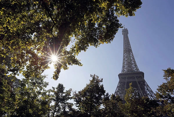 The sun shines through tree leaves near the Eiffel Tower on a warm autumn day in Paris