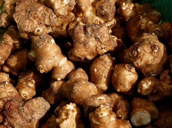 Sunchokes, also known as Jerusalem artichokes, are seen in vegetable crates at the