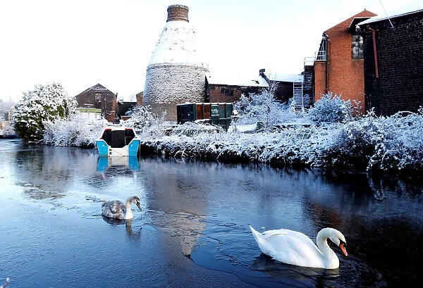 A swan breaks a path through the ice on the Trent and Mersey Canal in Middleport