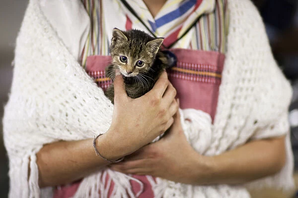 Swiss girl in traditional costume holds a kitten before the so-called Desalpe in Charmey