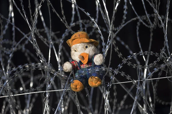A teddy bear is placed on razor wire at the border crossing in Horgos