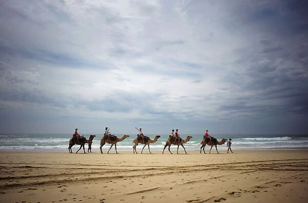 Tourists ride on camels belonging to Port Macquarie Camel Safaris alongside the Pacific