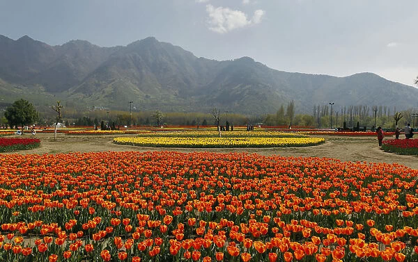 Tourists are seen at Kashmirs tulip garden during Baisakhi festival in Srinagar